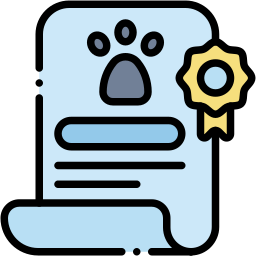 Certficate icon