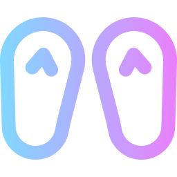 flip flops icon