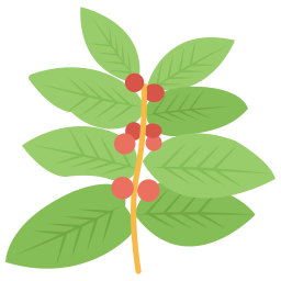 Coffee plant icon