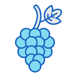 Grape icon