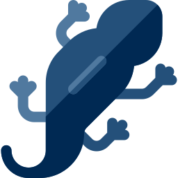 Paramesotriton icon