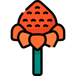 anthurium icon