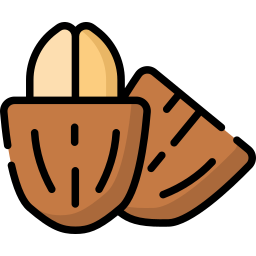 Cacao icono