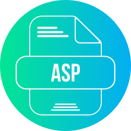 asp 파일 icon