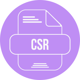 archivo csr icono