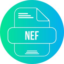 Nef icon