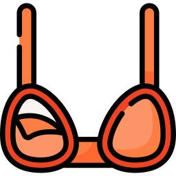 Bra icon