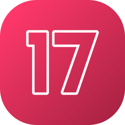 17 icon