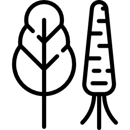 Vegetables icon