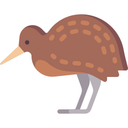 Kiwi icon