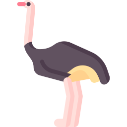 struisvogel icoon