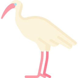 ibis icono