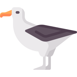 albatros icoon