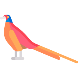 Pheasant icon