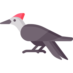 Woodpecker icon