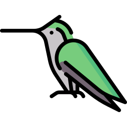 colibri Icône