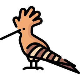 Hoopoe icon