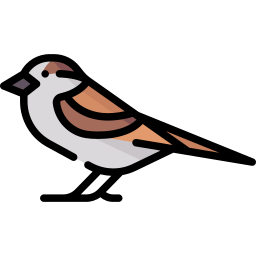 Sparrow icon