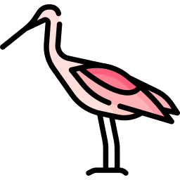 Spoonbill icon