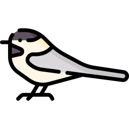 コガラ icon