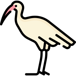 ibis icoon