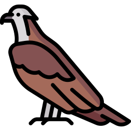 Águila pescadora icono