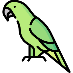 Parrot icon