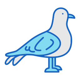 möwe icon