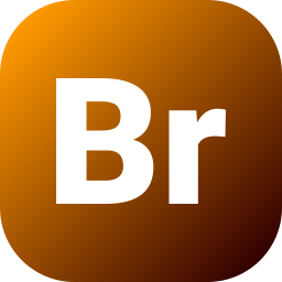 BR icon