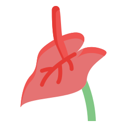 Anthurium icon