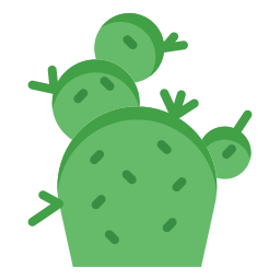 cactus icoon