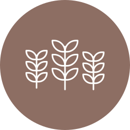 Wheat icon