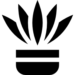 양치류 icon