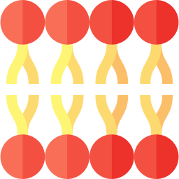 Lipid icon