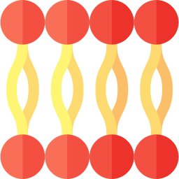 lipid icon