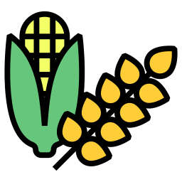 Corn icon