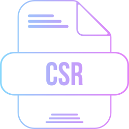 Csr file icon