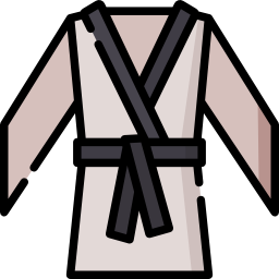 arte marcial icono