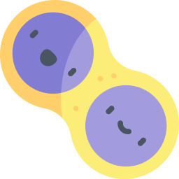 cellules Icône