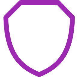 shield icon