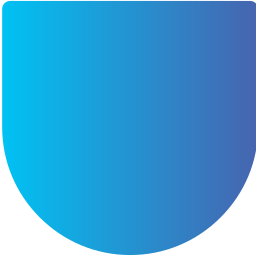 shield icon