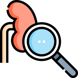 Renal function test icon