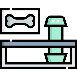 dexa-scan icoon