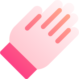 Gloves icon