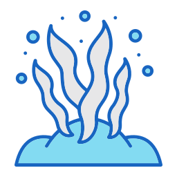 Reef icon