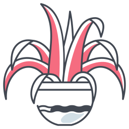 Spider plant icon