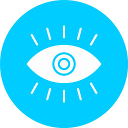 Vision icon