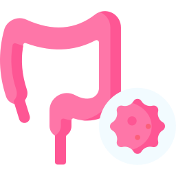 消化器系 icon