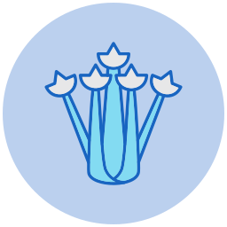 celery icon