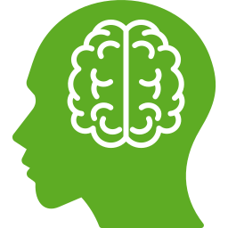 Brain icon